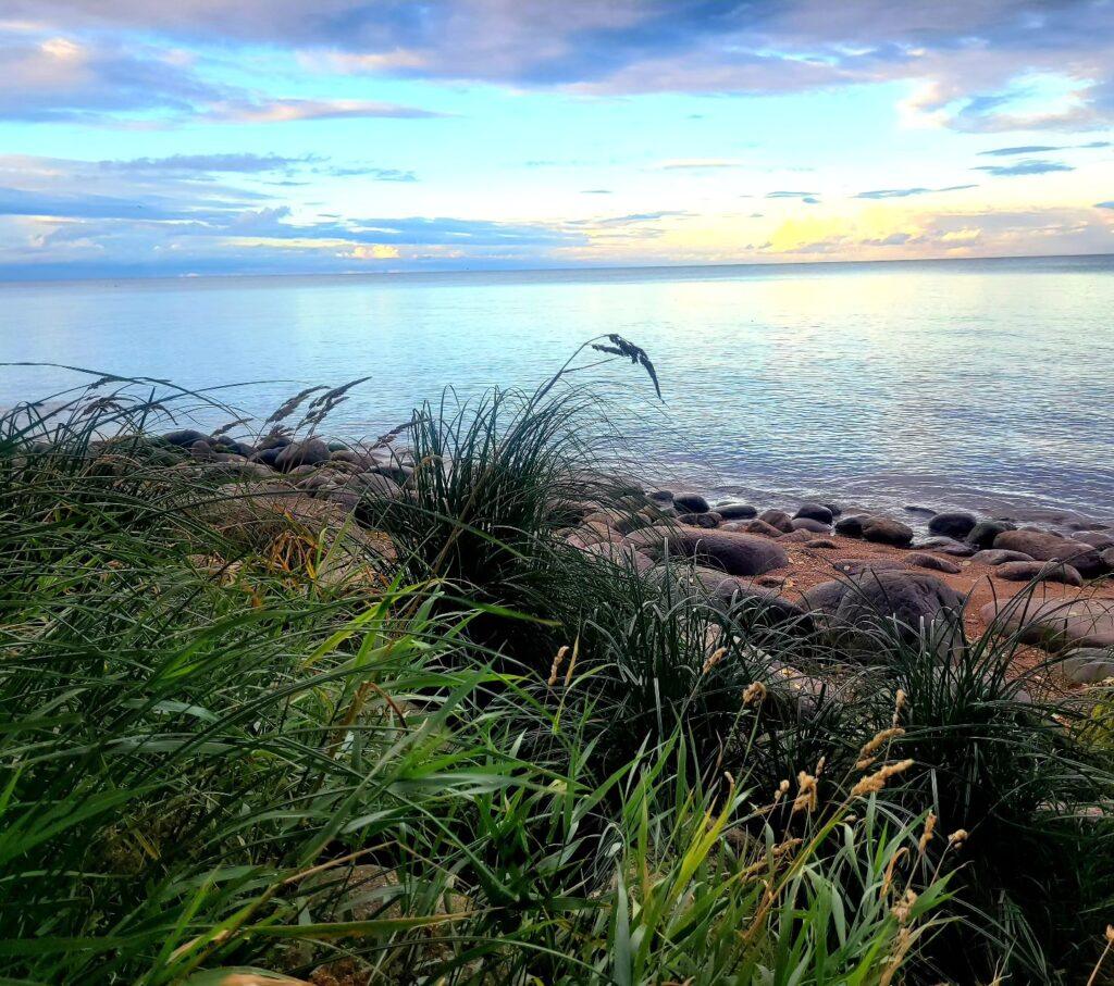 About peipsi paradiis